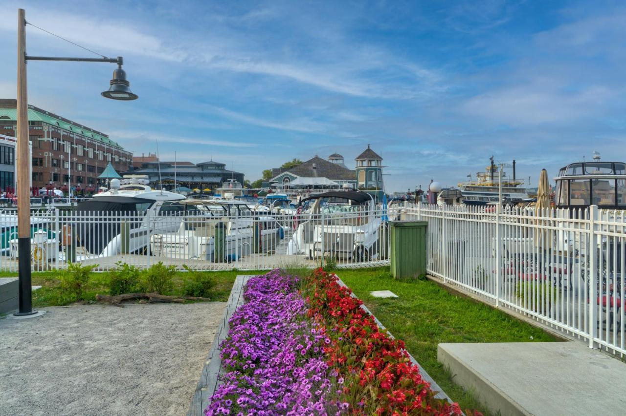 فيلا The Payne House Old Town, Metro, Free Parking الإسكندرية، فيرجينيا المظهر الخارجي الصورة